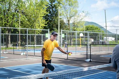 Court de pickleball