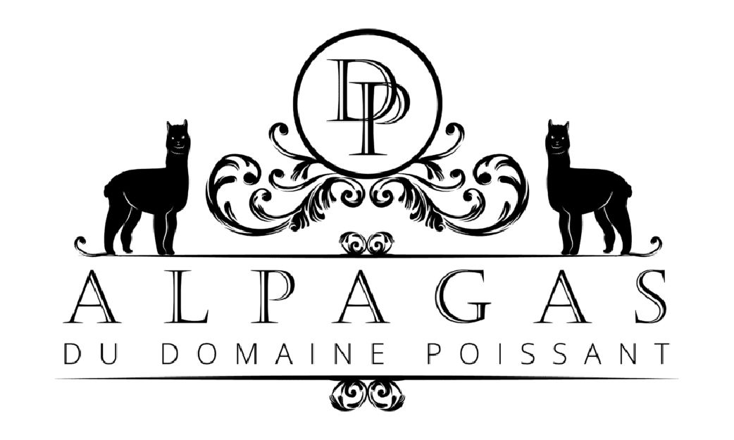 Partenaire