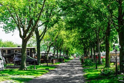 Domaine Street